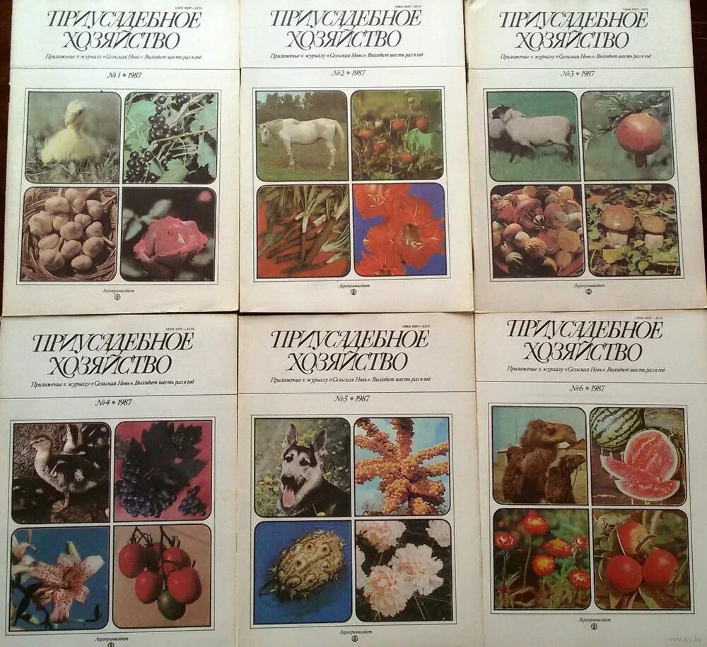 приусадебное хозяйство журнал. советские журналы приусадебное хозяйство. приусадебное хозяйство журнал. приусадебное хозяйство журнал заголовок. обложки журнала приусадебное хозяйство.