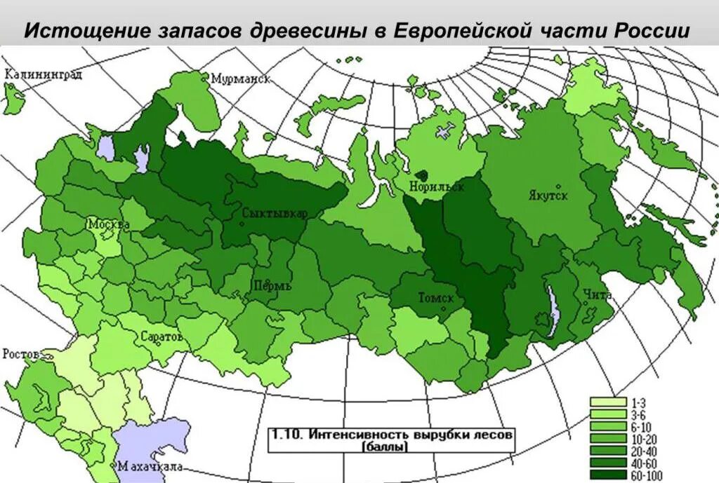 Интенсивность использования лесных ресурсов. Интенсивность вырубки лесов в россии карта. карта вырубки леса россии. карта лесных ресурсов россии. карта вырубки лесов в россии.