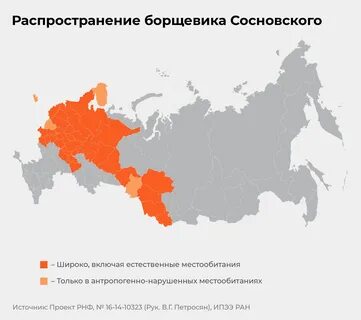 Карта борщевика сосновского