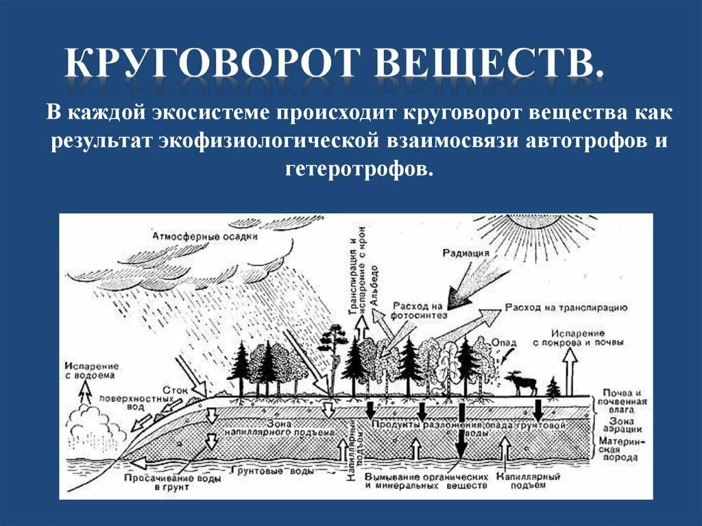 Как осуществляется круговорот веществ. Круговорот веществ в биосфере. Происходит круговорот веществ. Как происходит круговорот веществ. Круговорот веществ в природе презентация.