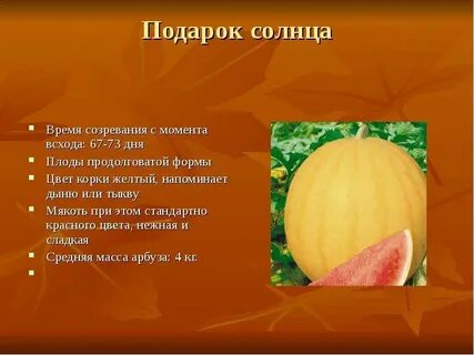 День плодов