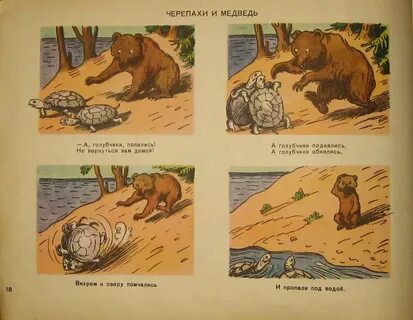 Медведь черепаха