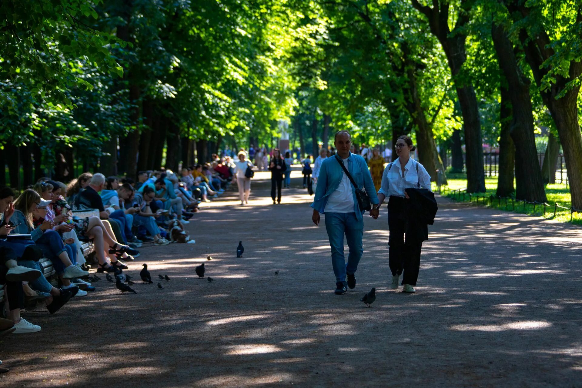 Нападения в парках. Мероприятие в парке Москва. Парк событие Москва. Ольгинский лесопарк. Ольгинский парк Балашиха.