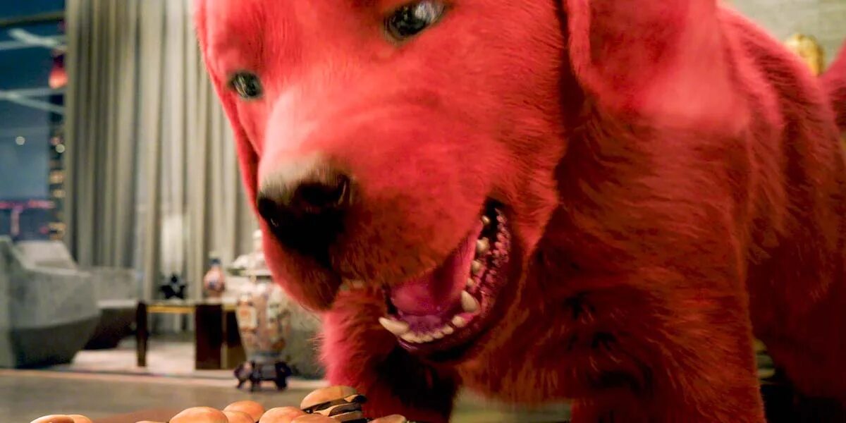 Клиффорд 2021 большой красный. Красный пёс Клиффорд 2021.