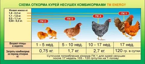 Комбикорм энерджи