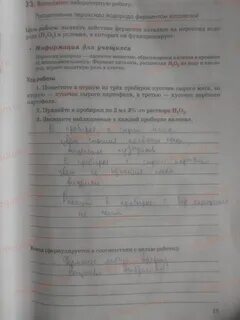 Лабораторная работа по биологии фермент каталаза