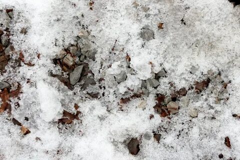 White freeze