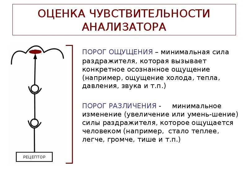 Песня чувства на минимум пульсы минимум. Критерии оценки чувствительности сенсорных систем. Пороги чувствительности анализаторов. Чувствительность анализаторов. Абсолютная чувствительность анализатора.