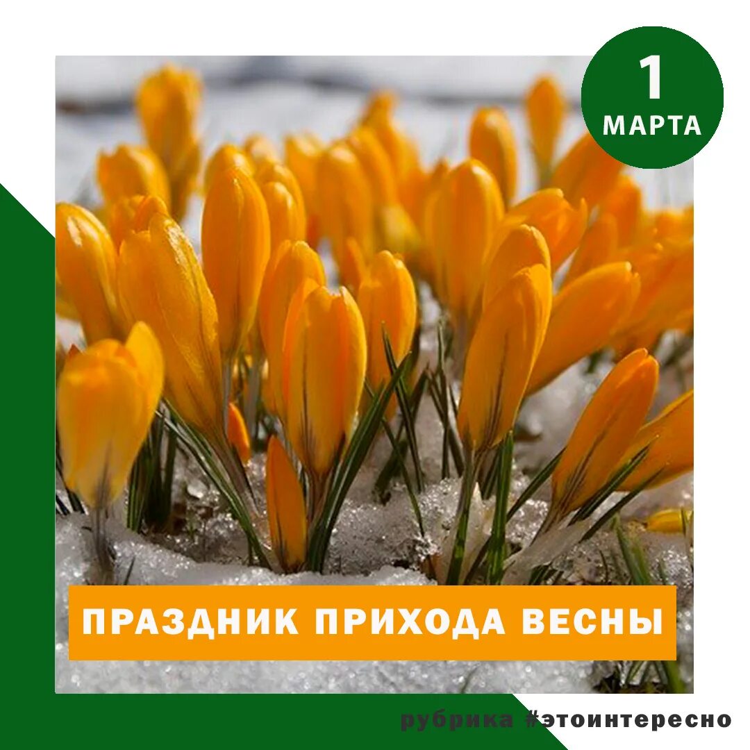 День весны когда отмечают. Весенние открытки. День весны когда отмечают. Поздравление с весной. Поздравление с первым днем весны.