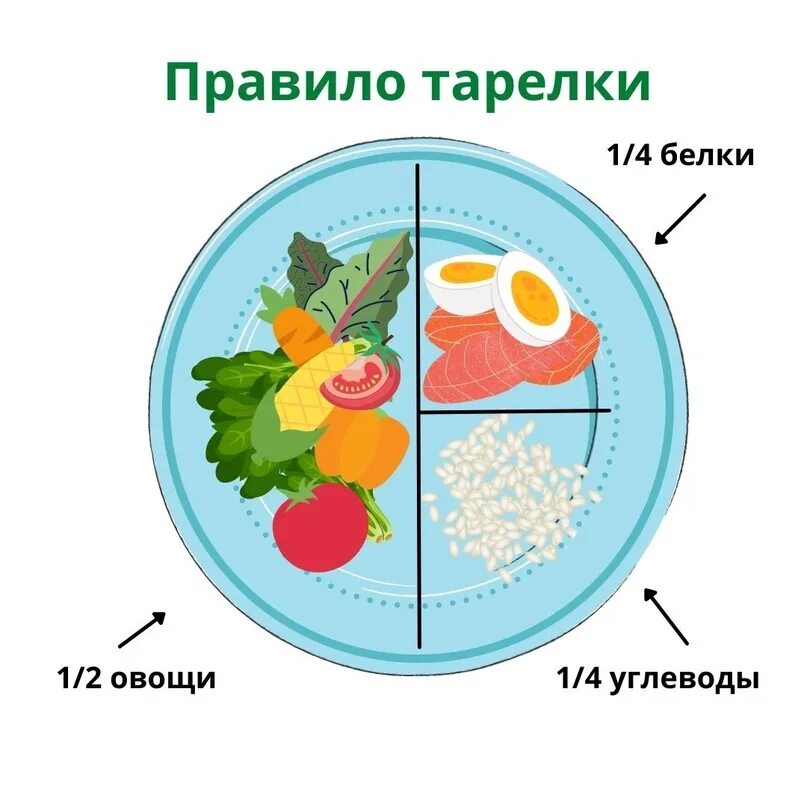 Системы тарелка. Правило тарелки. Правило здоровой тарелки. Тарелка здорового питания. Принцип здоровой тарелки.