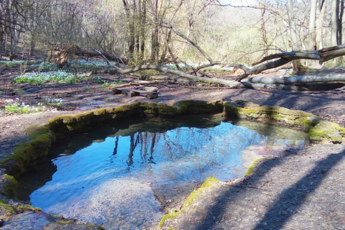 Татарское городище ставрополь травертиновый водопад. Травертиновый источник ставрополь. Травертиновые скалы пятигорске. Татарка травертиновый водопад. Травертиновый водопад в ставрополе.