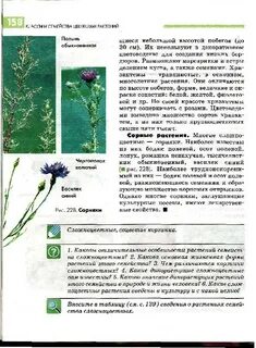 Проект по биологии 9 класс растения