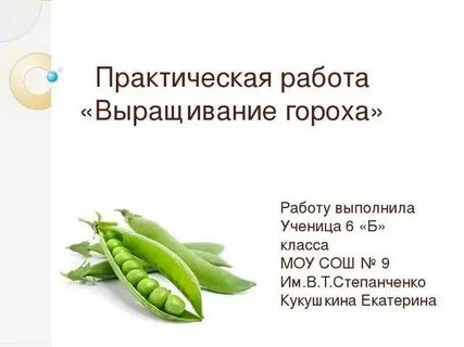 Проект горох