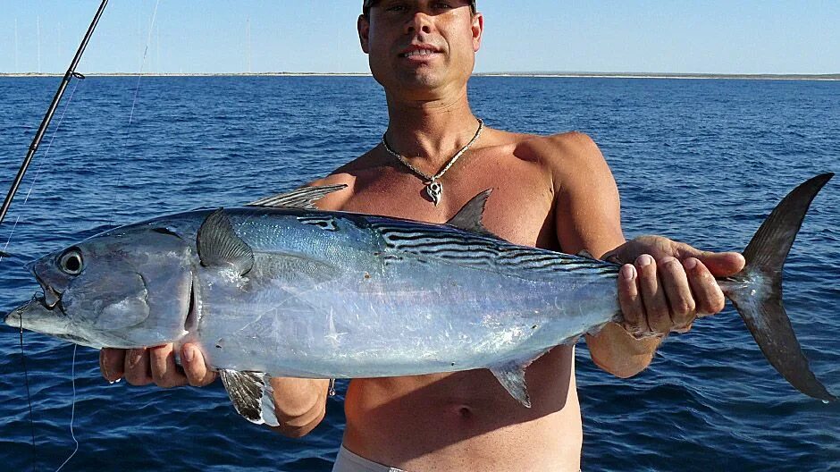 List Of The Most Commom imported FISHES In LAGOS(PICTURES) - Food - Nigeria Mack