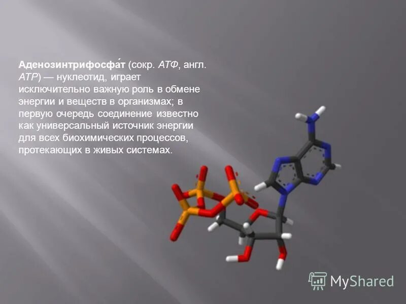 Витамины атф