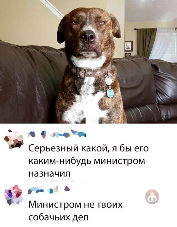 По этому не серьезный он. Чё ты такой серьёзный джокер. По этому не серьезный он. Чё ты такой серьёзный джокер. Серьезный простой.