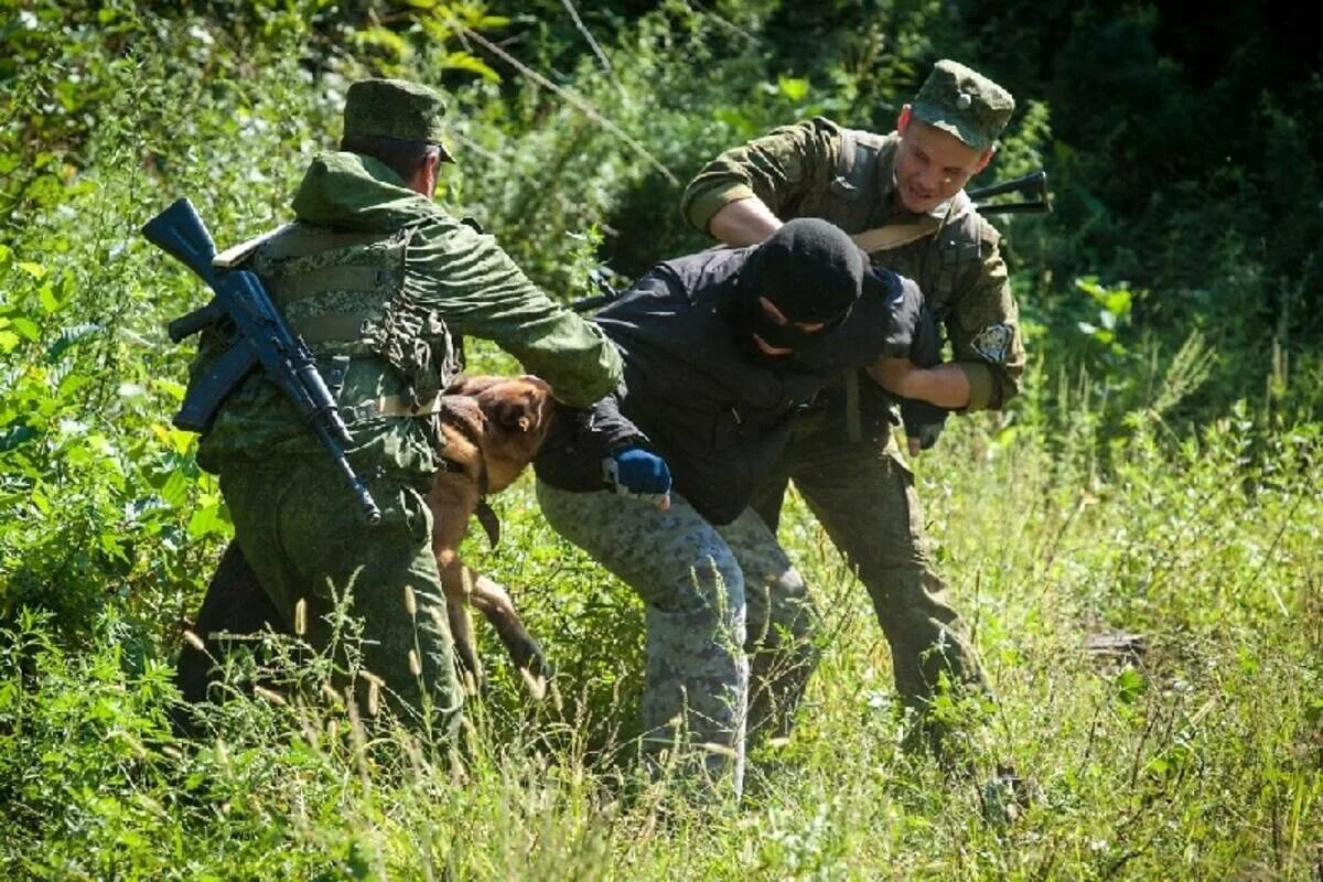 Нарушитель государственной границы. Пограничники в лесу. Пограничники спецназ. Захват границ