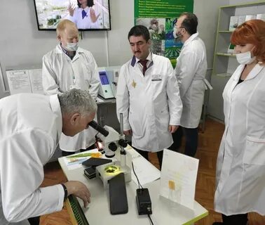 Апк альметьевск