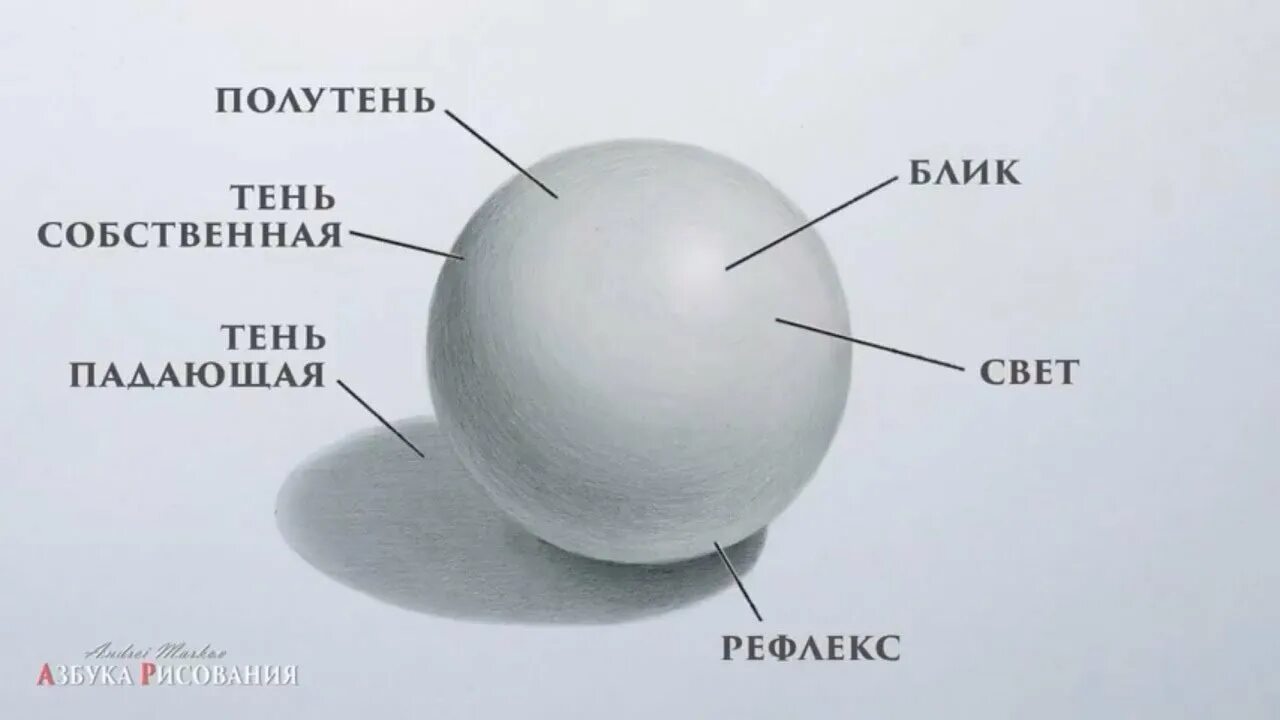 Свет полутень тень рефлекс. Светотеневая градация. Шар полутень рефлекс. Свет тень полутень рефлекс блик в рисунке. Блик тень полутень рефлекс в рисунке.