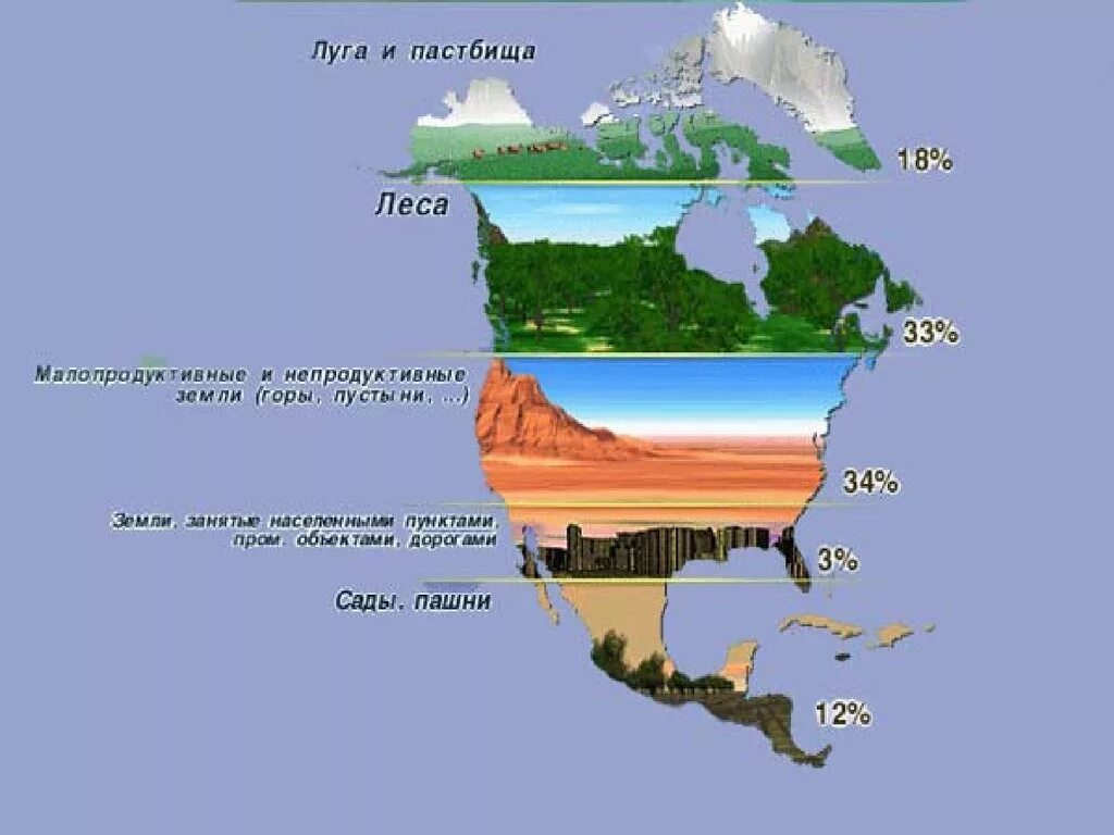 Большую часть северной америки занимает природная зона