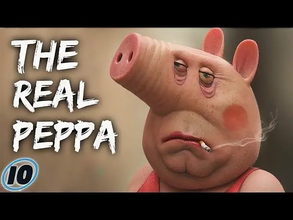 Как выглядит свинка пеппа в реальной жизни : Pig Pictures