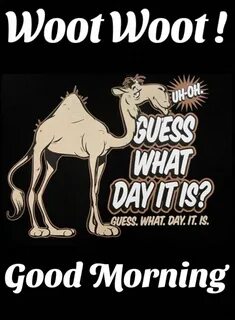 Guess what