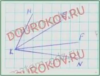 11 углов