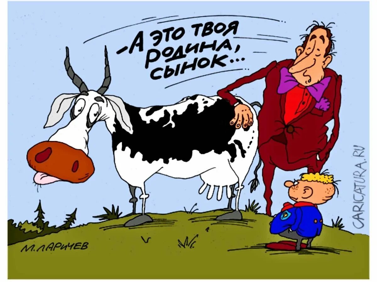 На корове догнала. Корова карикатура. Дойная корова карикатура. Доет корову карикатура. Бык карикатура.