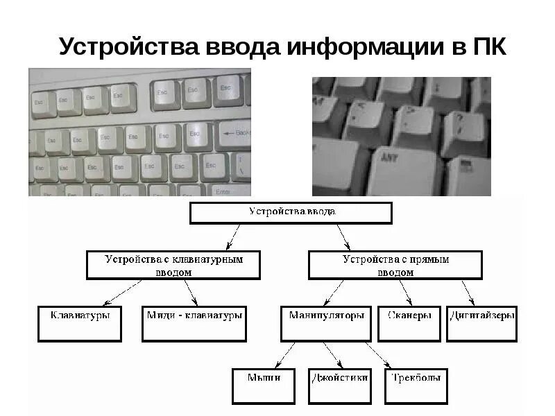 Устройство ввода информации выберите несколько вариантов ответов. Устройства ввода информации в пк. устройства ввода информации клавиатура. устройства ввода информации урок. устройства ввода информации картинки.