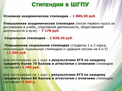 Курс стипендия