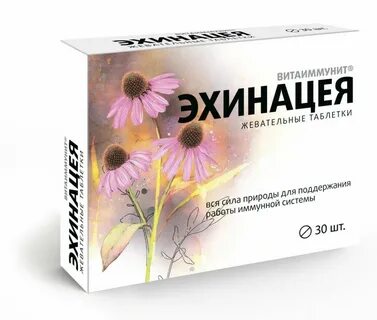 Эхинацея побочные