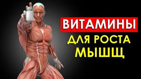 Мышечный витамин
