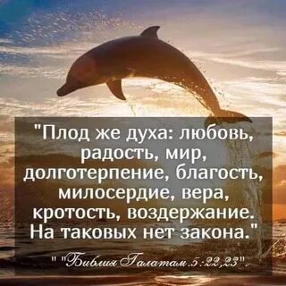 Любовь радость мир