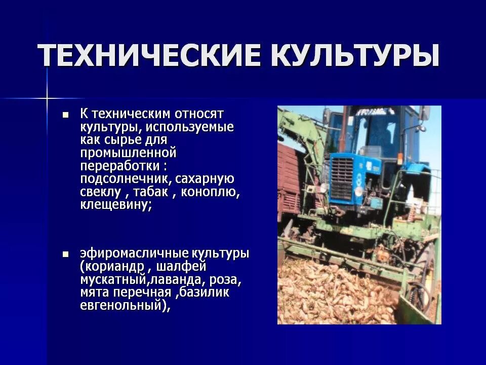 Формы технической культуры. Технические культуры. отрасли технических культур. выращивание технических культур. технические культуры продукция.