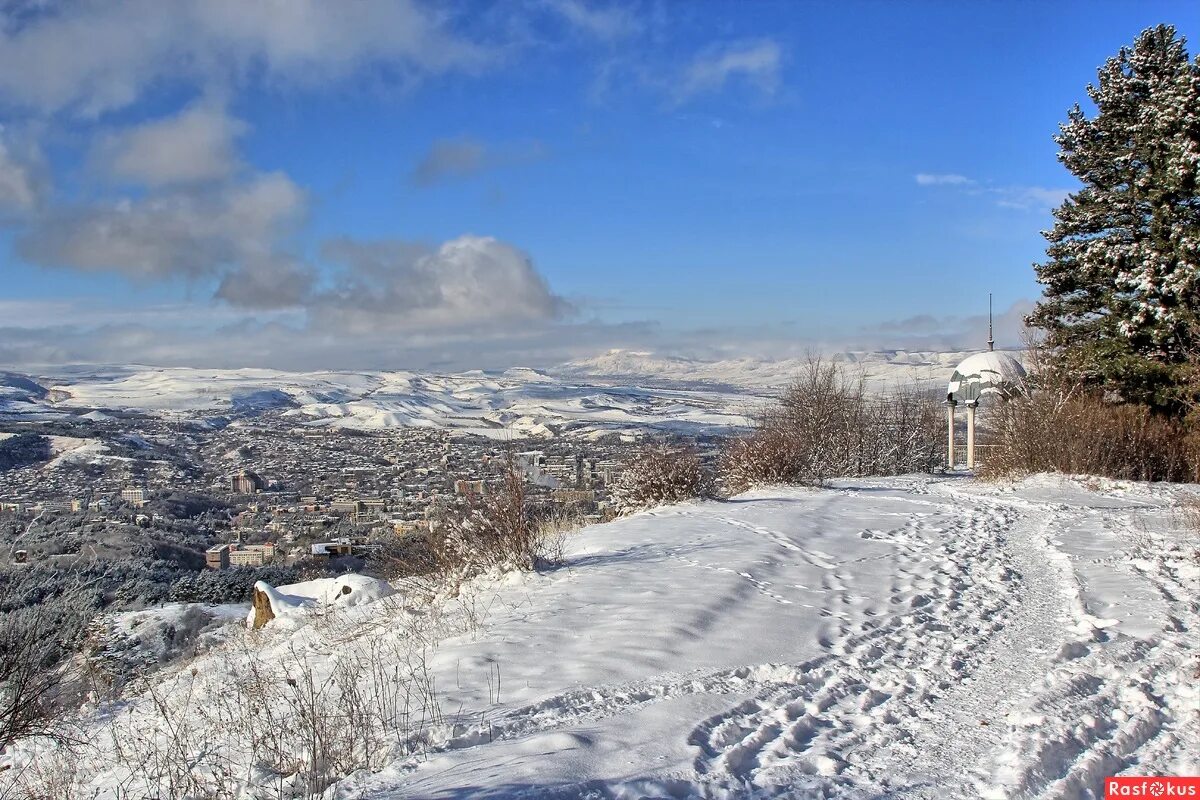 Крокодил в Долине роз - Picture of Kislovodsk National Park - Tripadvisor