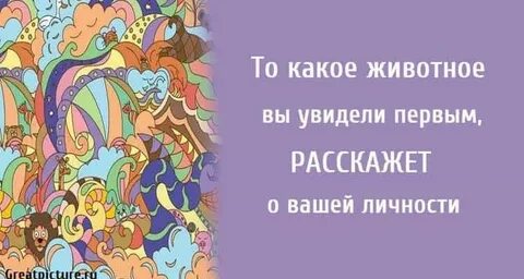 То что вы увидели