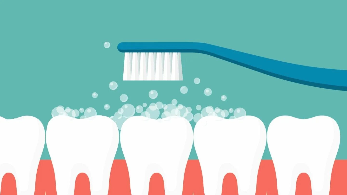 Teeth are like