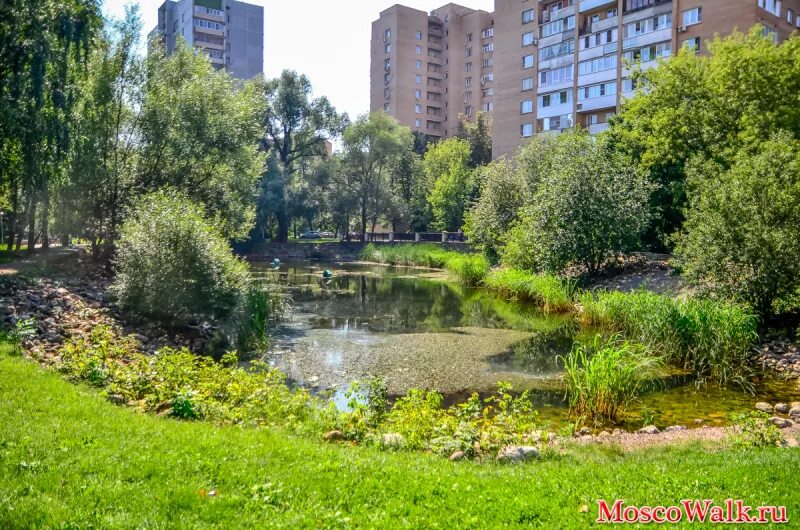 Вода на улице москва. Пруд на Вешних вод. Екатерининский пруд в Москве Вешних вод. Водоем ул Вешних вод. Улица Вешних вод Москва.