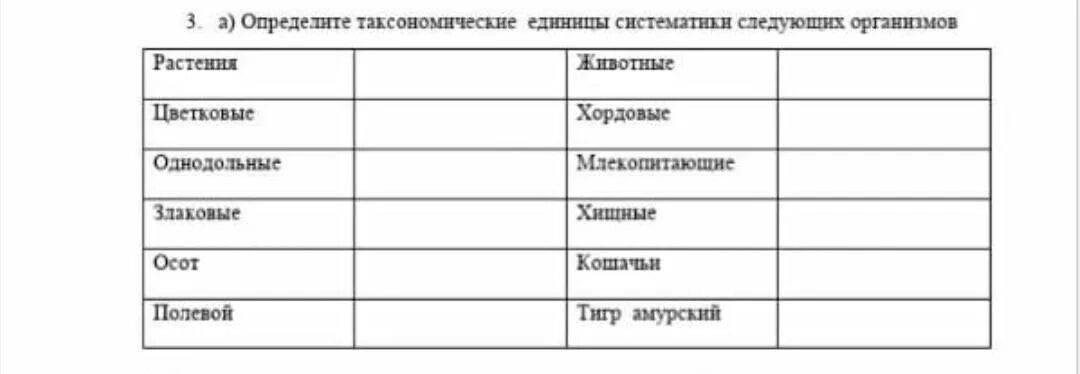 Последовательность таксономических единиц тюльпана