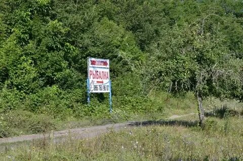 Родное рыбалка