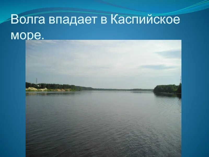 В какое море впадает волга