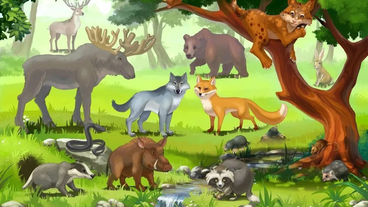 Познание животных. Звери в лесу. Лесные звери. Жители леса. Животные леса для детей.