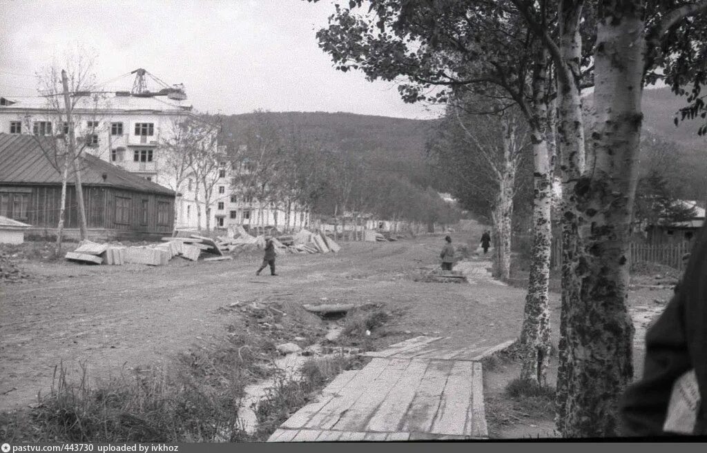 Деревня Черемушки Москва. Черемушки Москва 1960е. Село Троицкое Черемушки. Черемушки микрорайон 1960. Бугуруслан черемушки телефоны