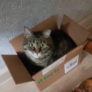 Коробка сат