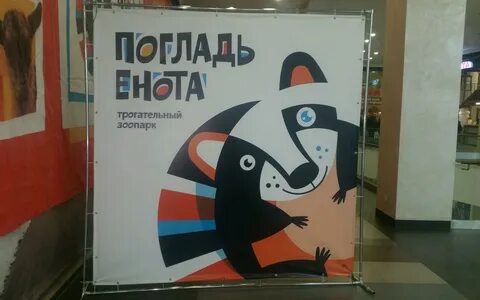 Погладь енота москва