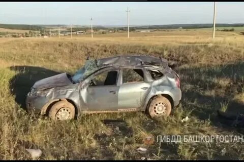 Башкирия рено