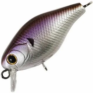 Tsuyoki chef 38f