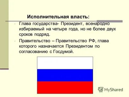 Всенародно избираемый глава государства