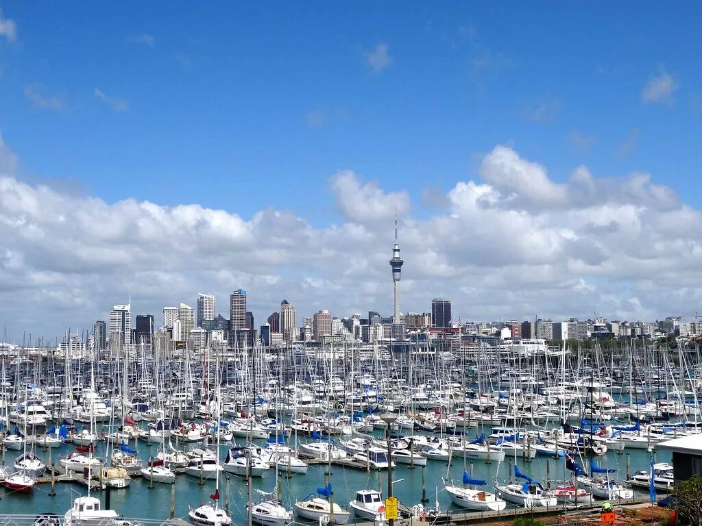 Die stadt hat. Auckland город City of Sails. Окленд новая Зеландия. Окленд город парусов. Окленд новая Зеландия фото города.