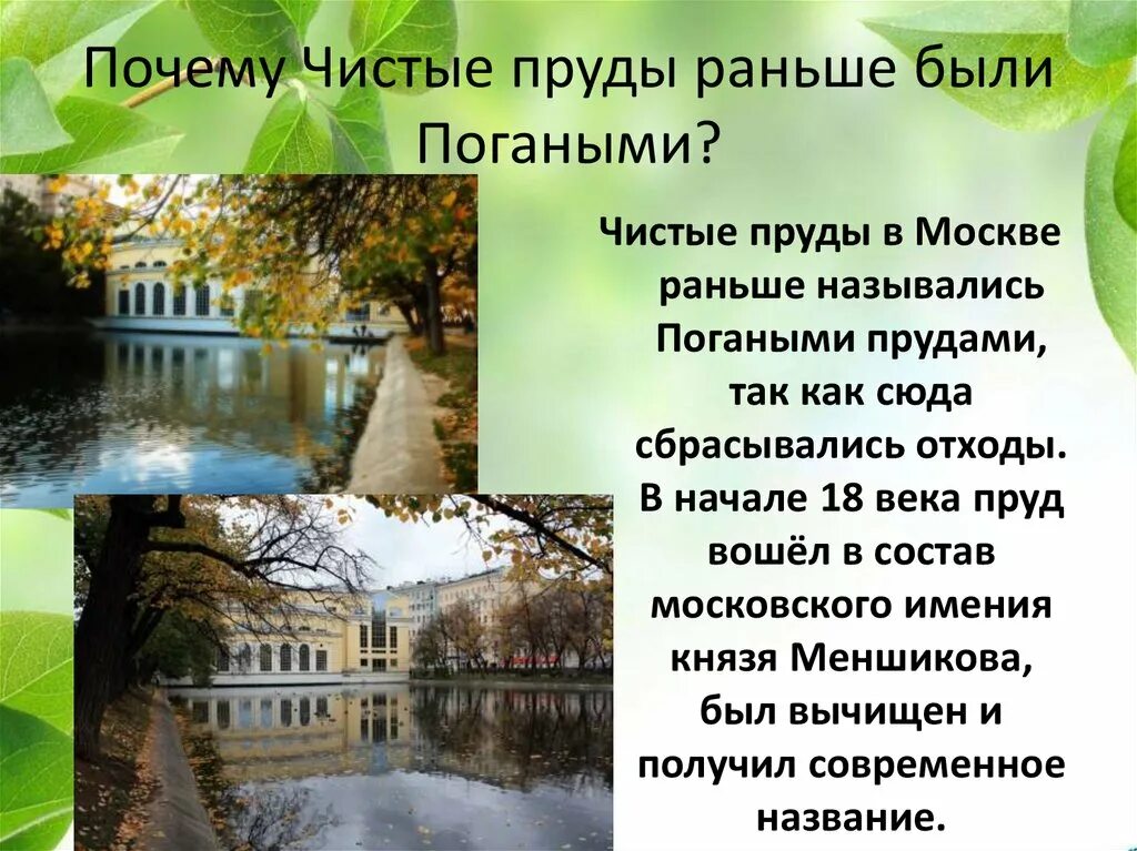 Почему чистые пруды чистые. Чистые пруды раньше. Чистые пруды Москва. Чистые пруды история. Почему называют чистый